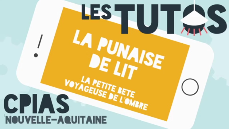 tuto punaise de lit