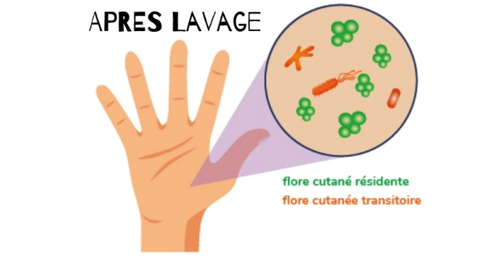 Visuel après lavage