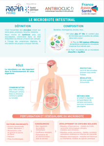 Affiche microbiote itnestinal