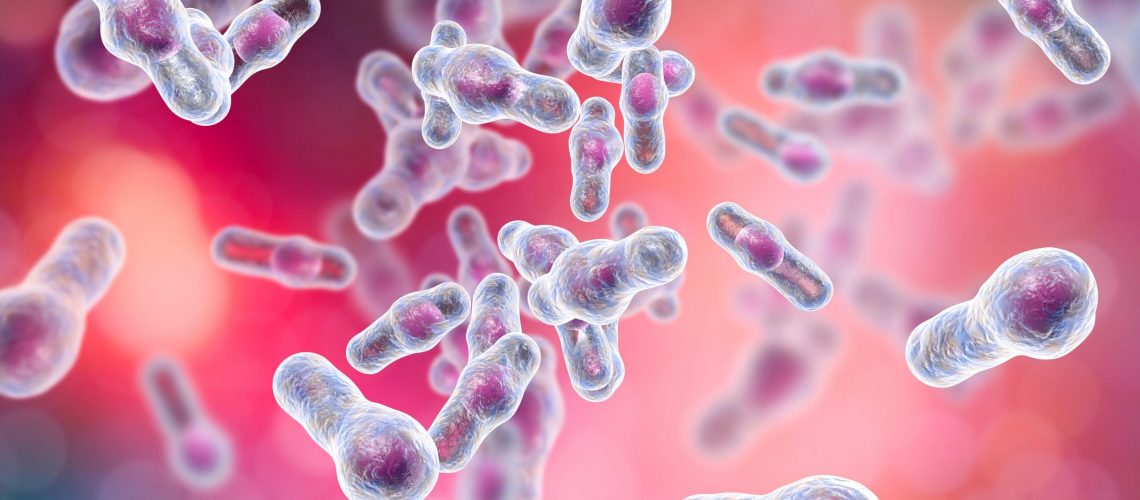 Clostridium difficile bacteria, 3D illustration. Spore-forming bacteria that cause pseudomembraneous colitis and are associated with nosocomial antibiotic resistance