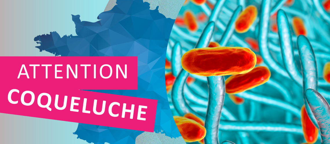 IMG_coqueluche_Plan de travail 1