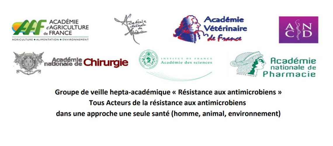 IMG_hepta-academique
