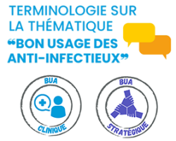 IMG_terminologie_spares